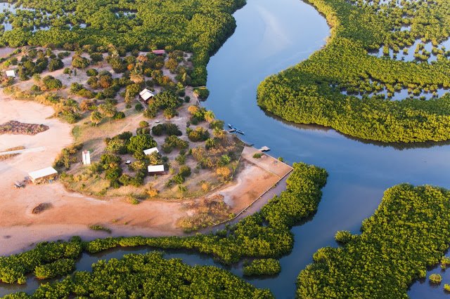 parc animaux visite tourisme sauvage oiseaux leuksenegal dakar senegal afrique palmarin5