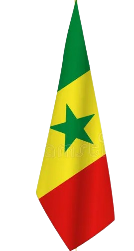 emblem of saudi arabia.svg removebg preview removebg preview.png